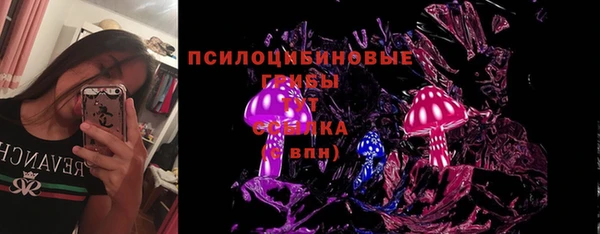 бошки Богданович