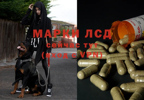 бошки Богданович