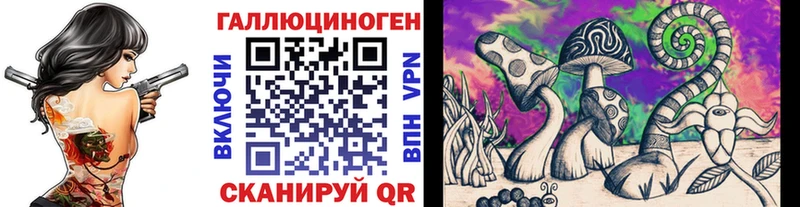 Галлюциногенные грибы Psilocybine cubensis  Купить  Минусинск 